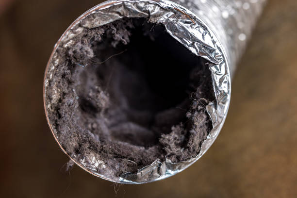 Best Air Duct Cleaning Near Me  in Sayville, NY