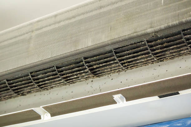 Best Best Air Duct Cleaning Company  in Sayville, NY